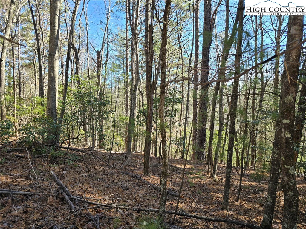 Image number 14 for the current listing