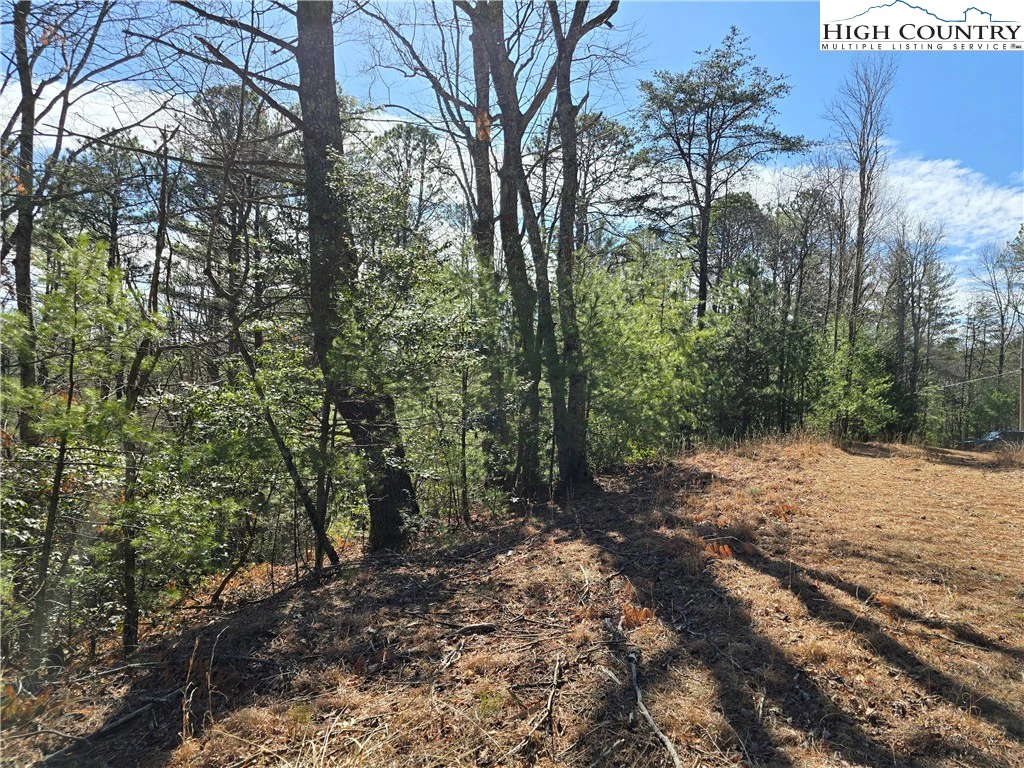 Image number 10 for the current listing