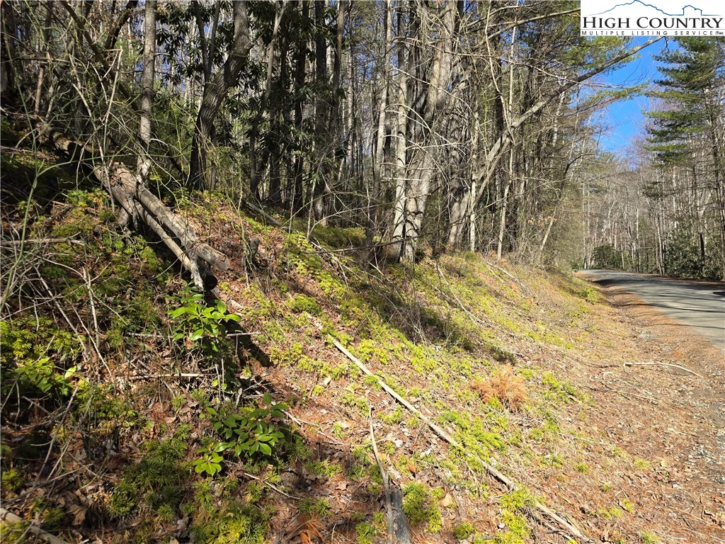 Image number 7 for the current listing