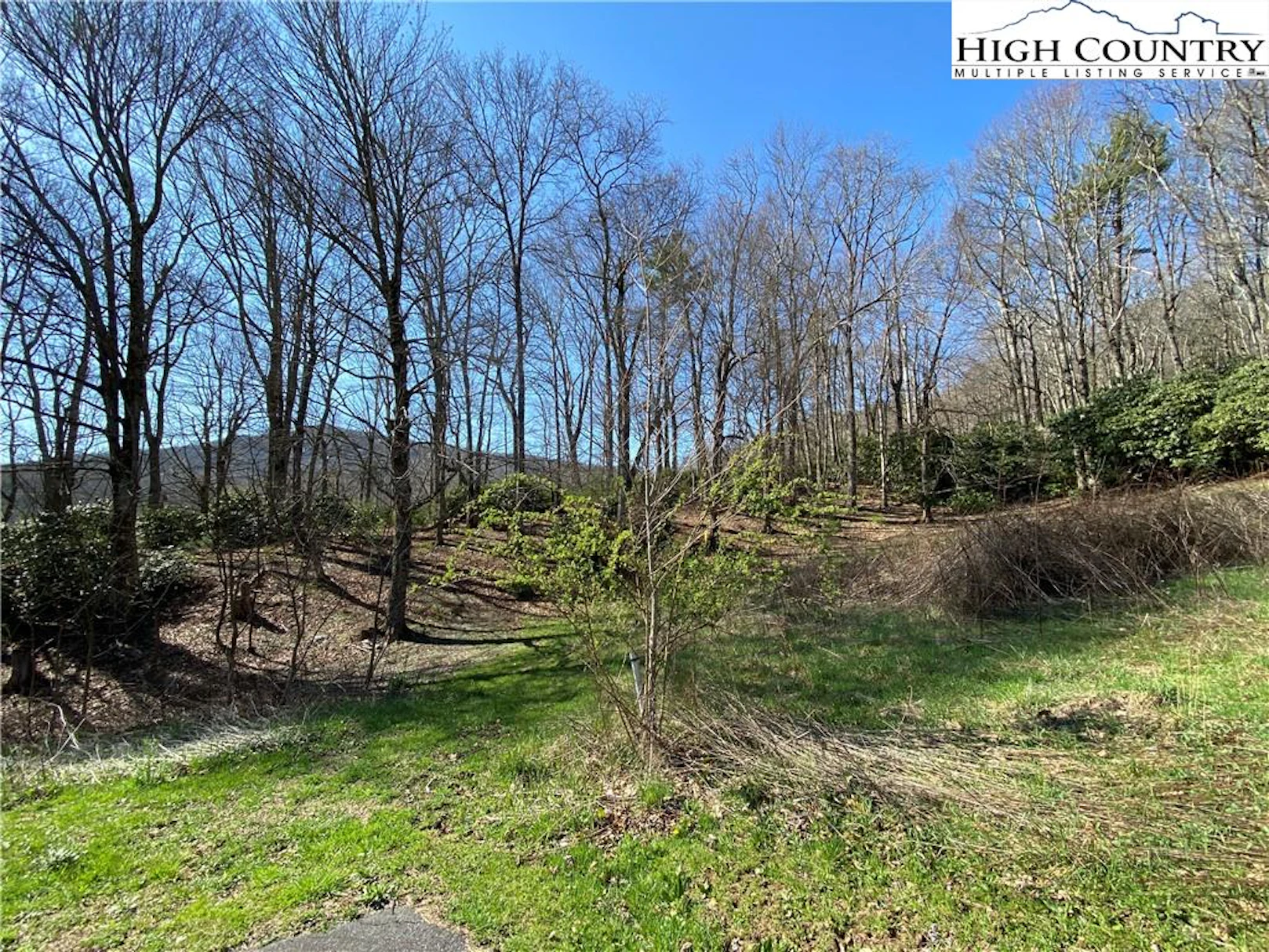 Image number 1 for the current listing