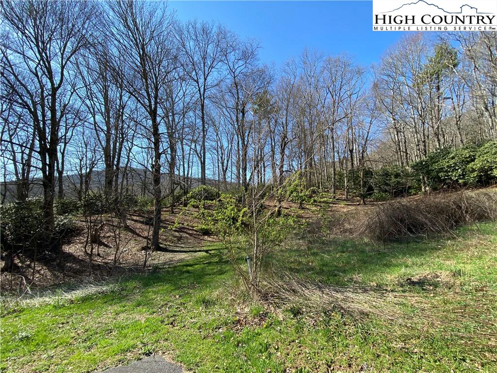 Image number 1 for the current listing