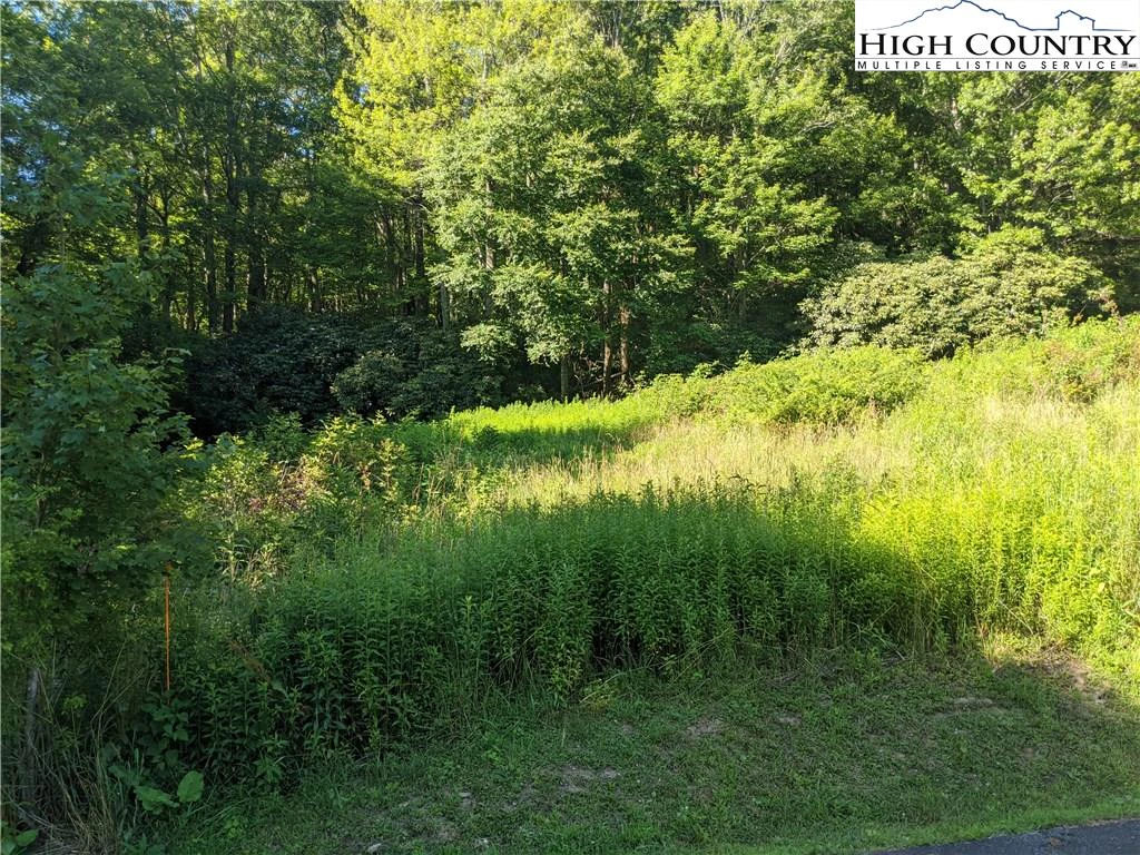 Image number 13 for the current listing