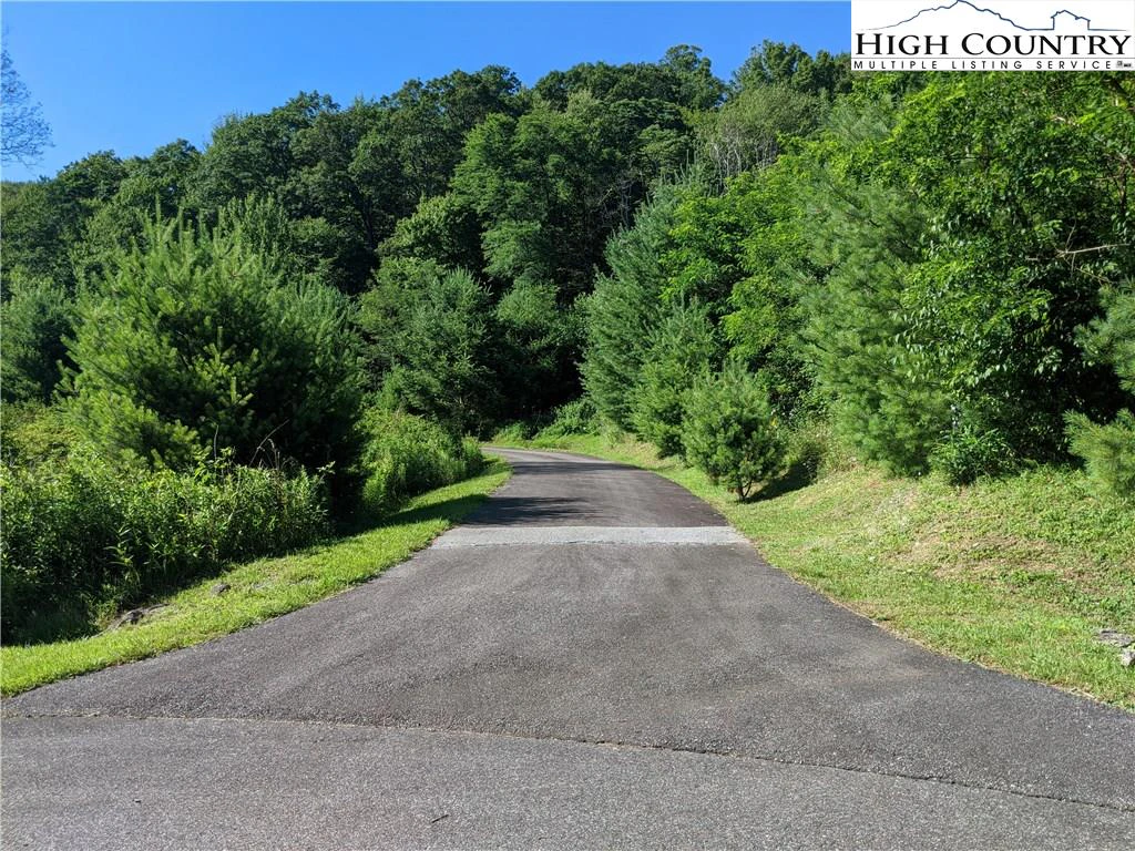 Image number 2 for the current listing