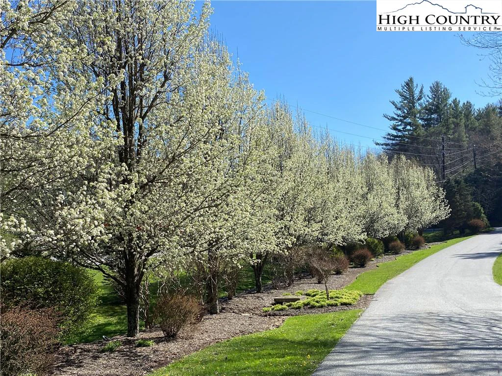 Image number 6 for the current listing