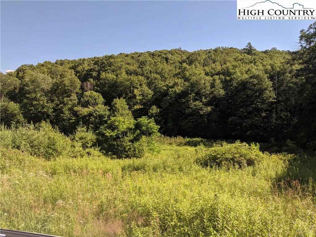 Image number 18 for the current listing