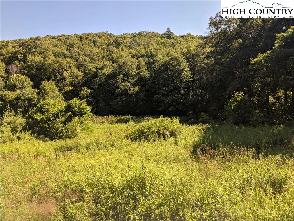Image number 17 for the current listing
