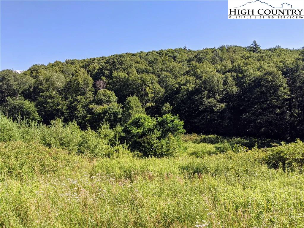 Image number 16 for the current listing