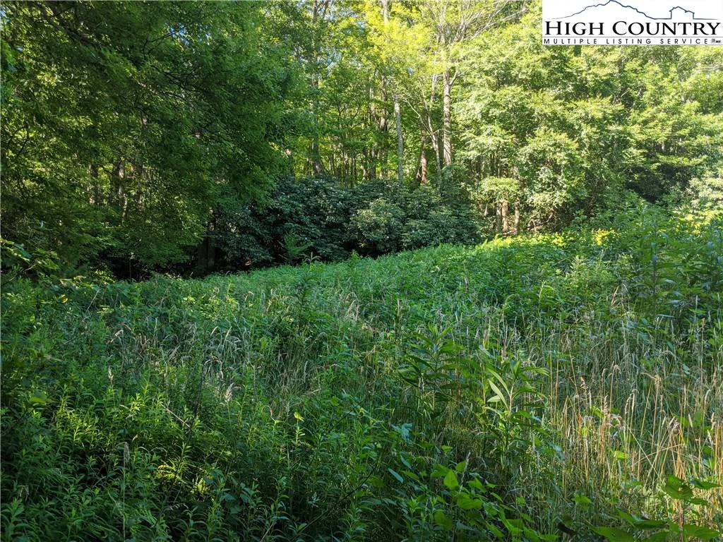 Image number 15 for the current listing