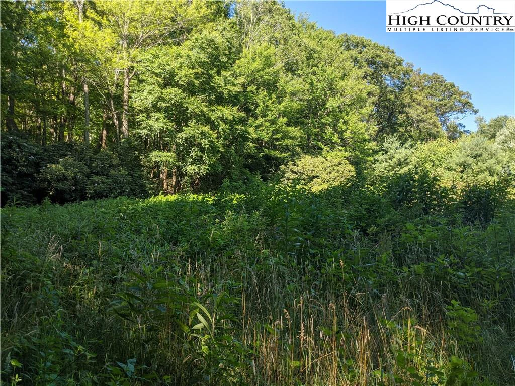 Image number 14 for the current listing