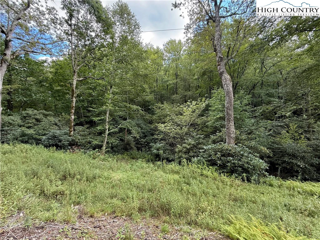 Image number 3 for the current listing
