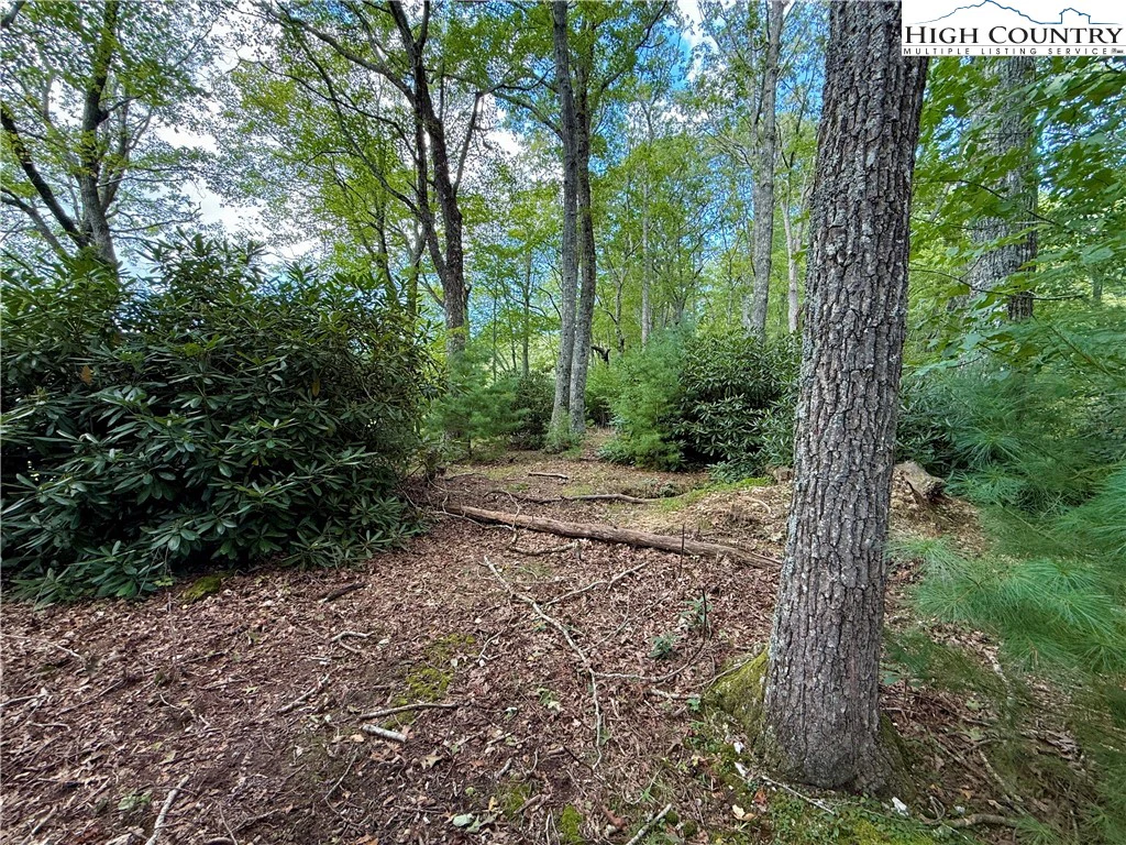 Image number 4 for the current listing
