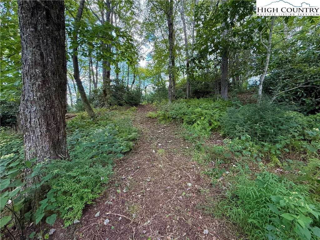 Image number 5 for the current listing