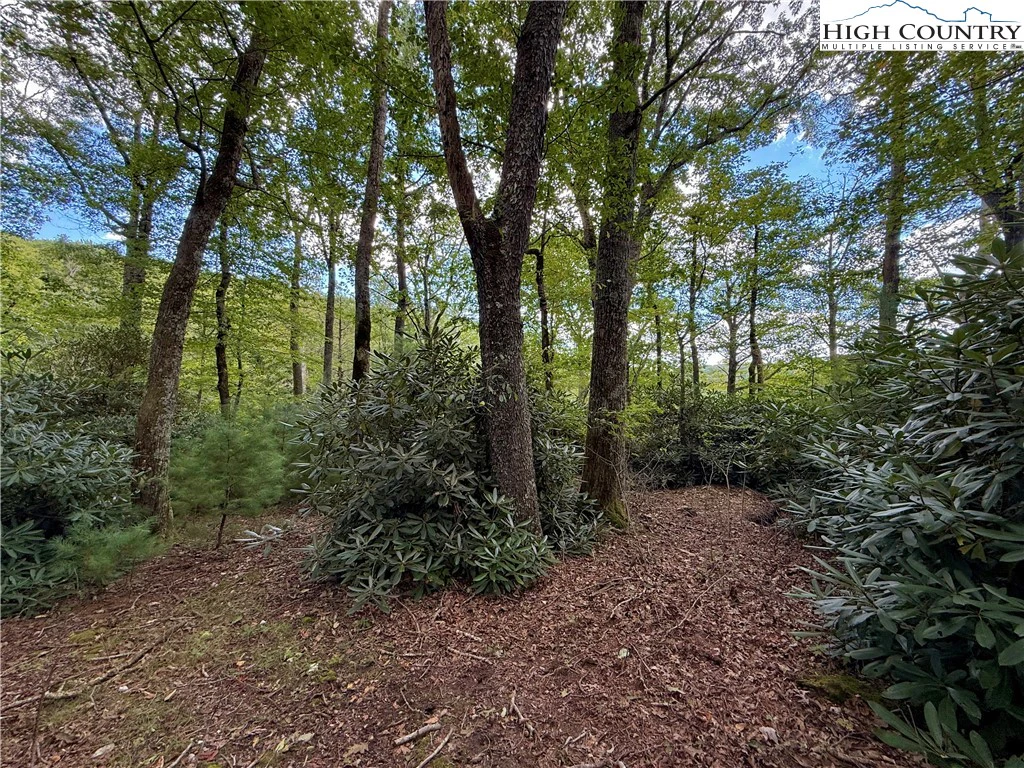 Image number 6 for the current listing