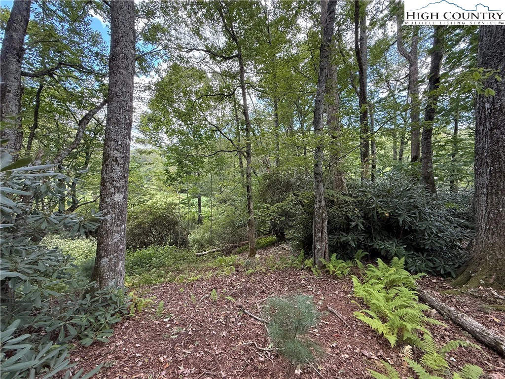 Image number 9 for the current listing