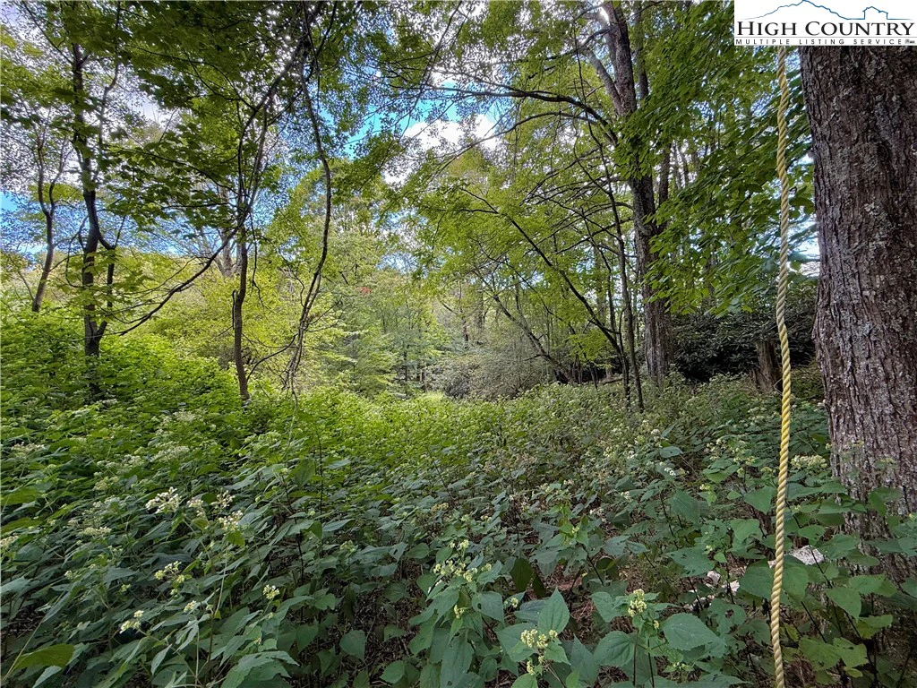 Image number 10 for the current listing