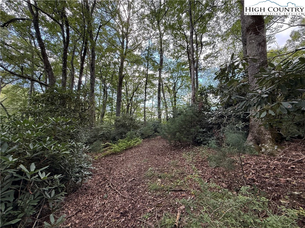 Image number 11 for the current listing