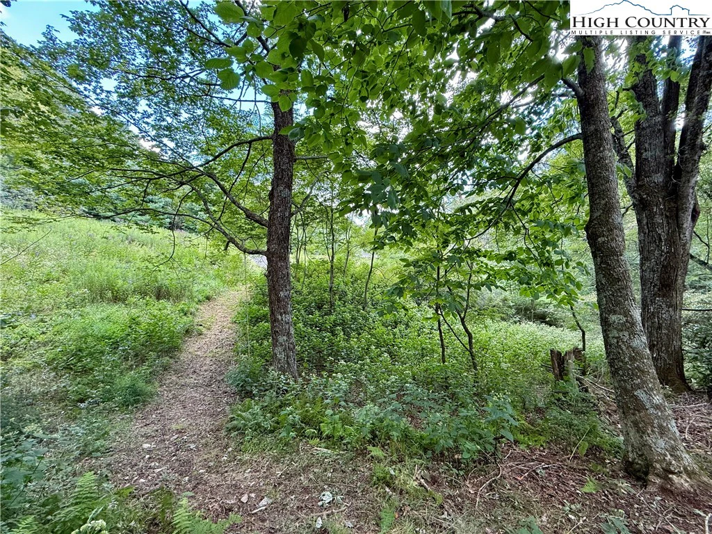 Image number 12 for the current listing