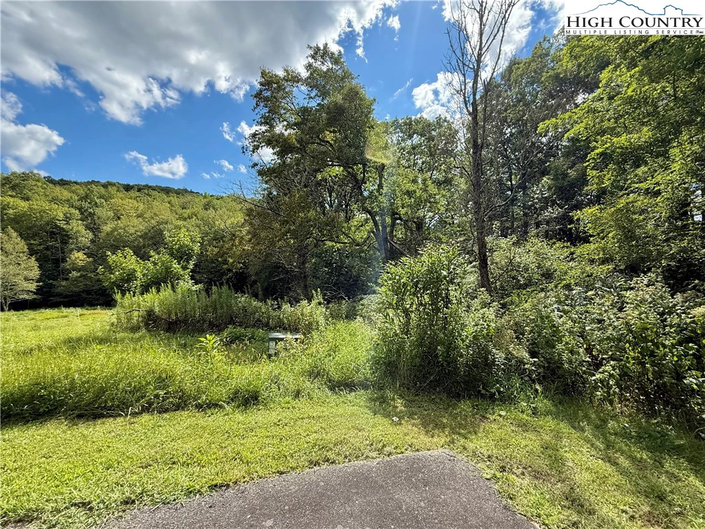 Image number 13 for the current listing