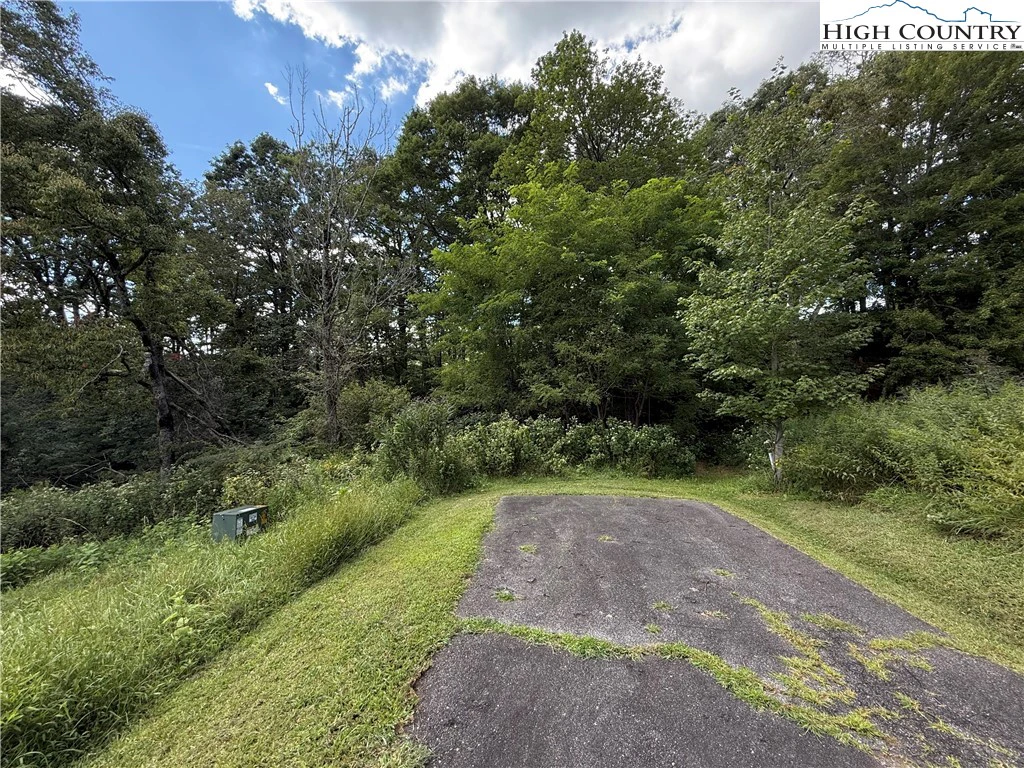 Image number 14 for the current listing