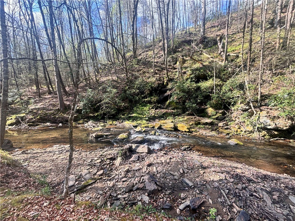 Image number 2 for the current listing