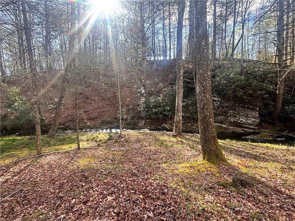 Image number 14 for the current listing