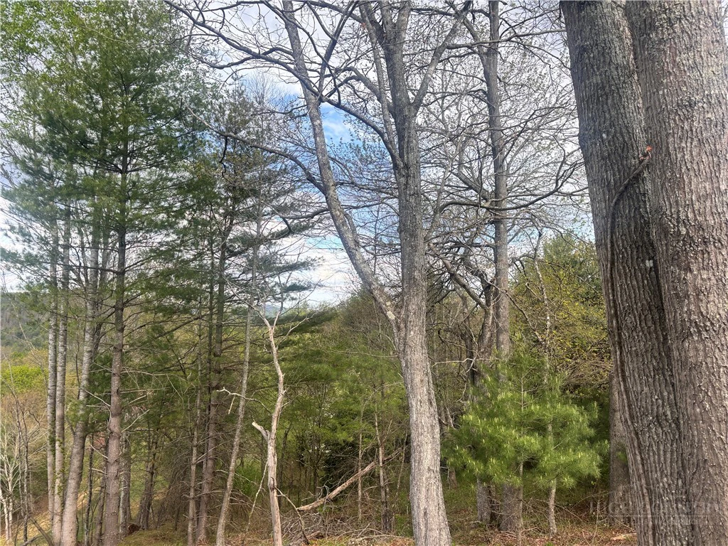 Image number 13 for the current listing