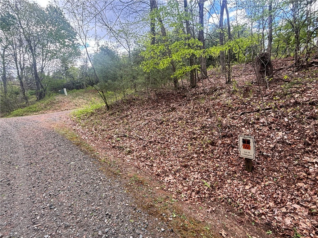 Image number 1 for the current listing