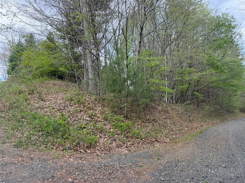 Image number 12 for the current listing
