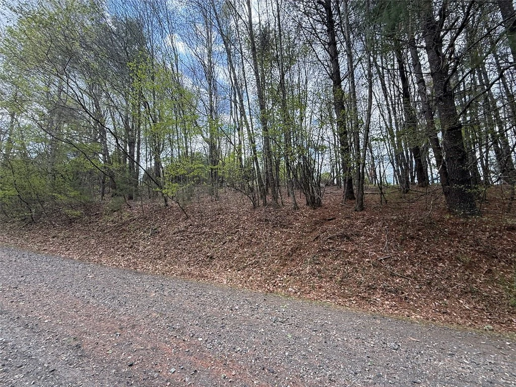 Image number 11 for the current listing
