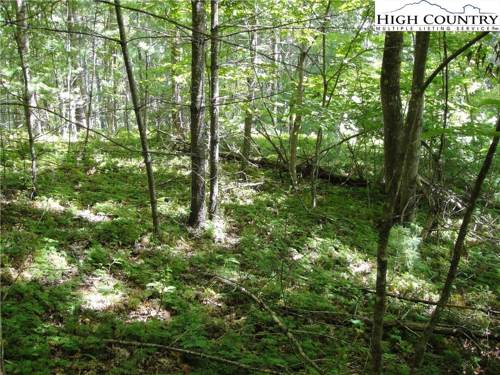 Image number 19 for the current listing