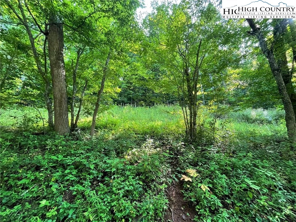 Image number 18 for the current listing