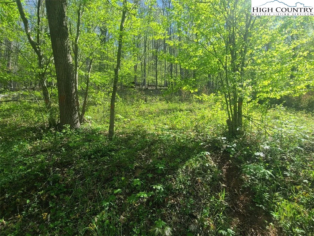 Image number 13 for the current listing