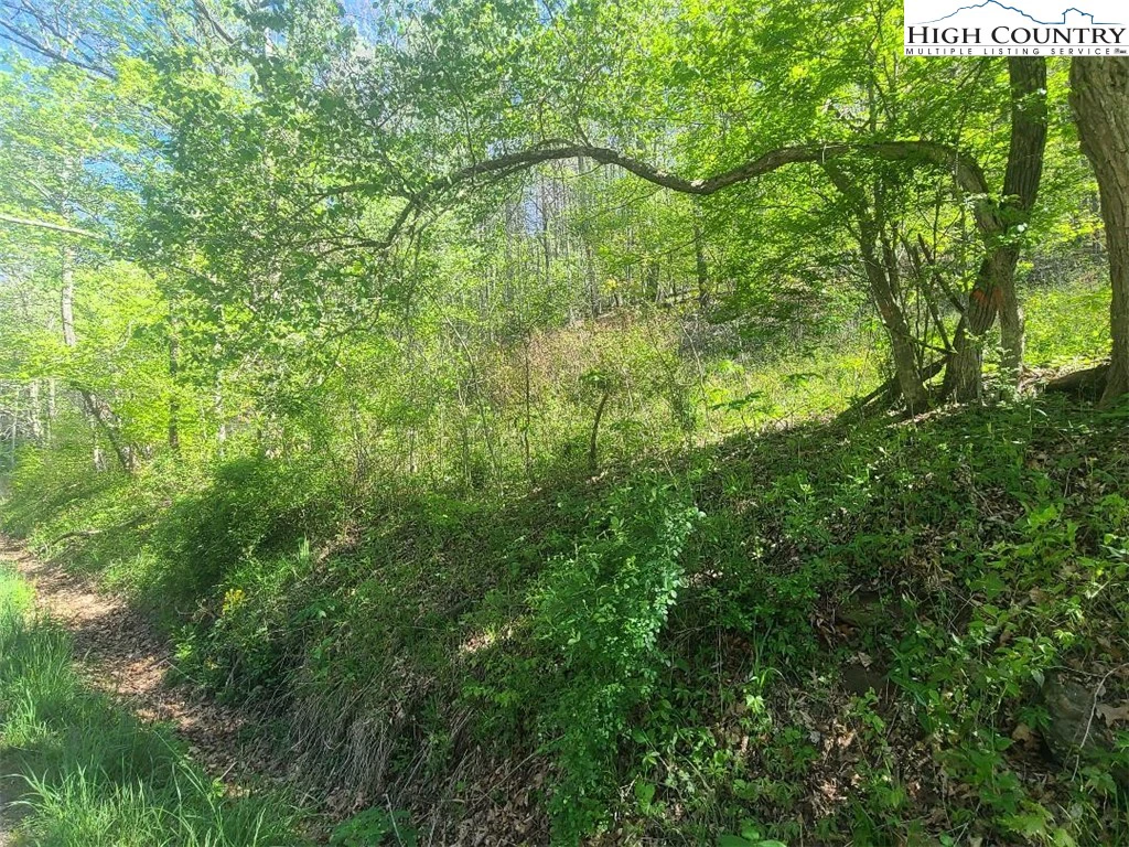 Image number 7 for the current listing