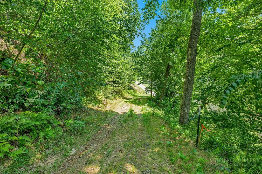 Image number 11 for the current listing
