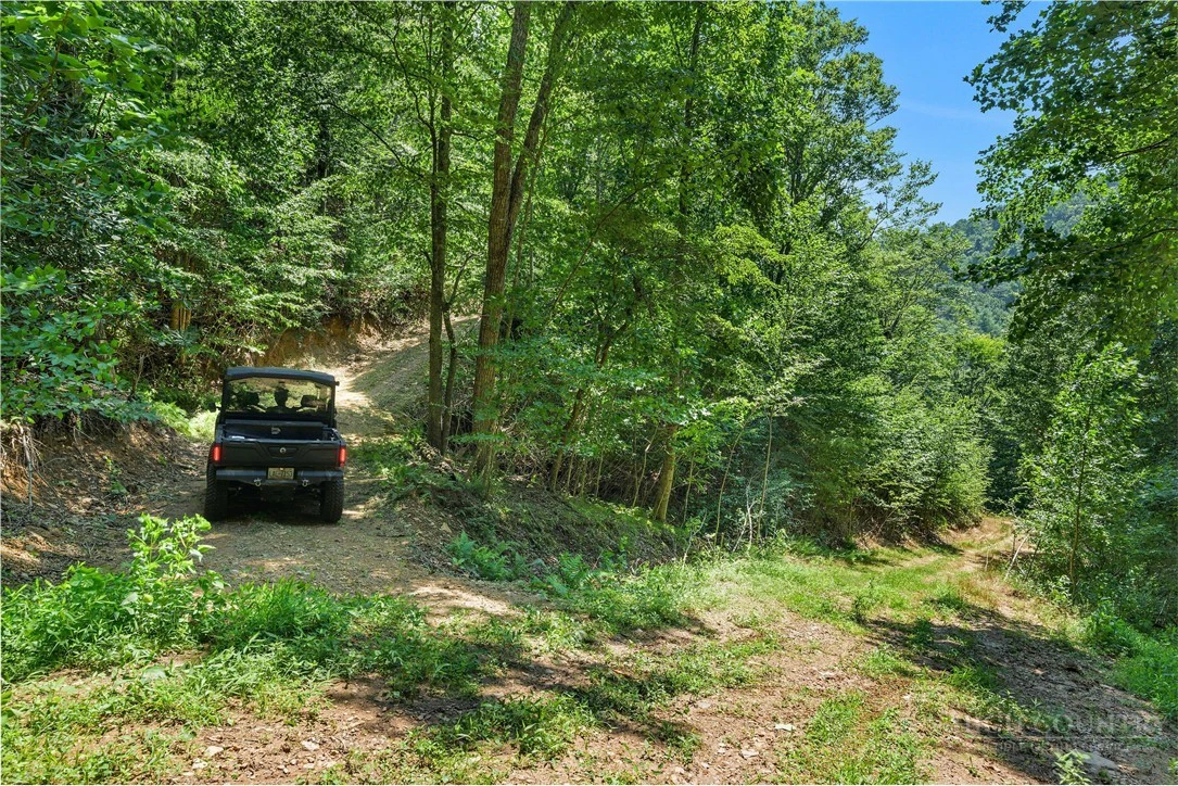 Image number 10 for the current listing