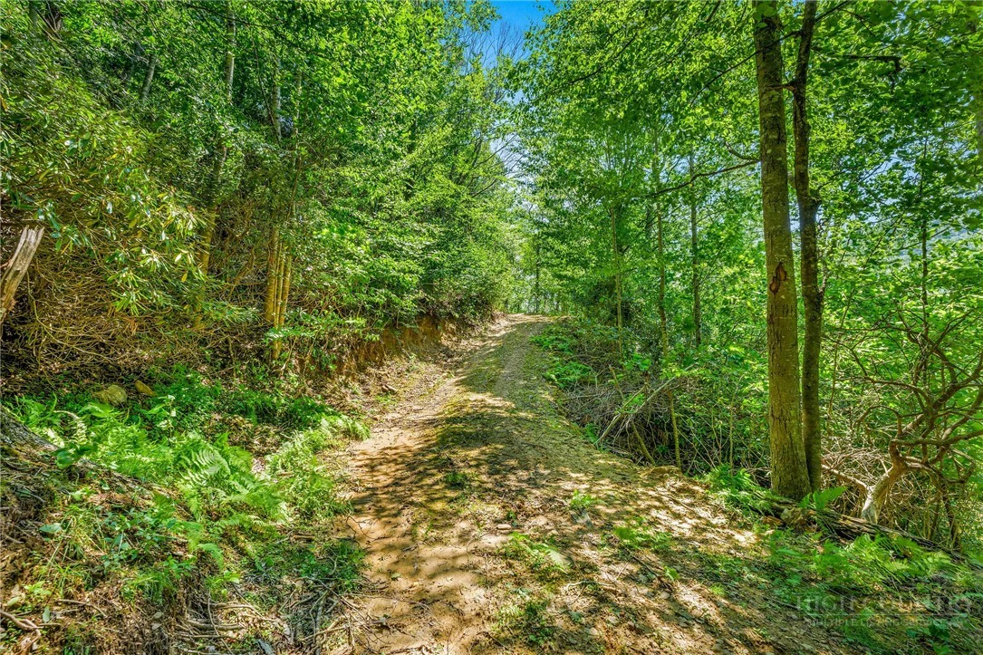 Image number 14 for the current listing
