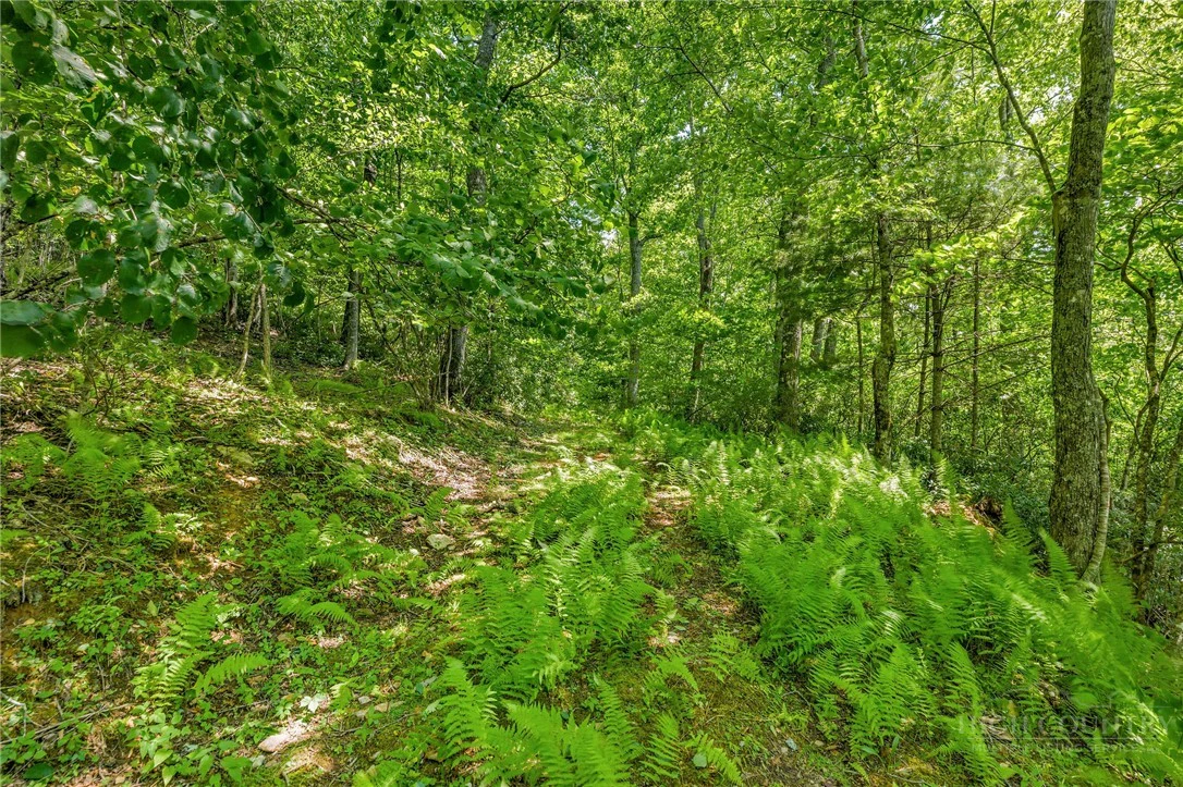 Image number 15 for the current listing