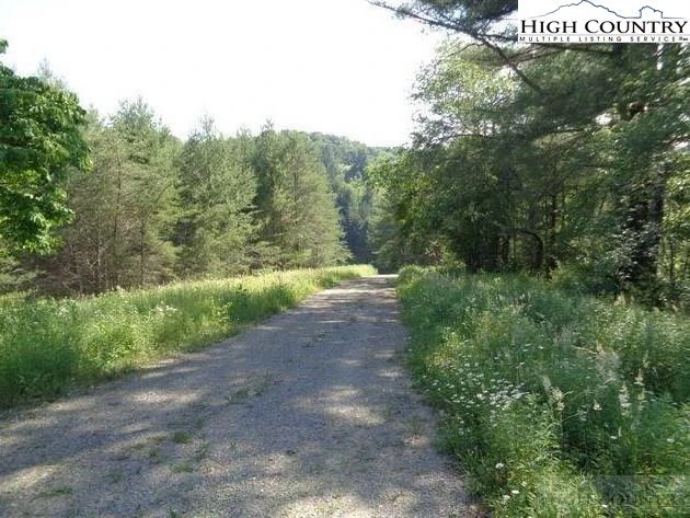 Image number 8 for the current listing