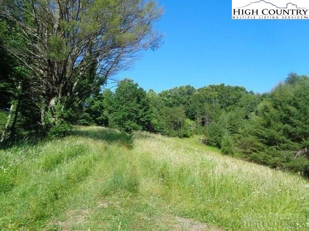 Image number 7 for the current listing
