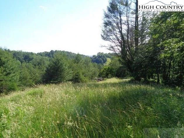 Image number 5 for the current listing