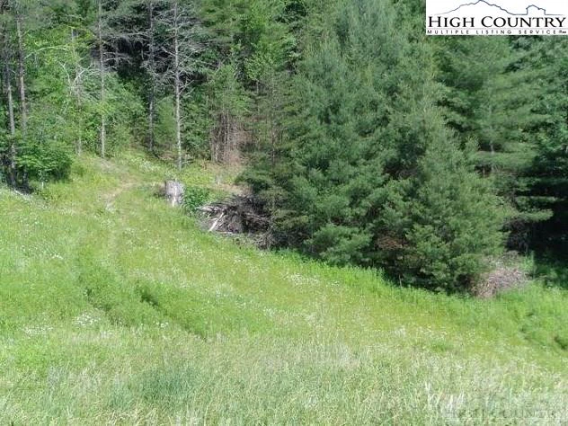 Image number 16 for the current listing