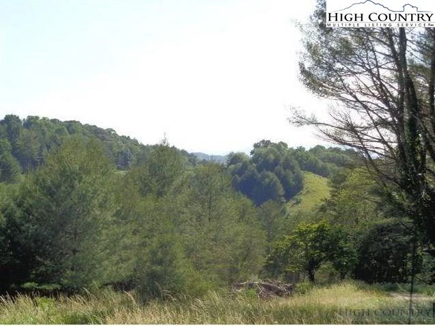 Image number 14 for the current listing