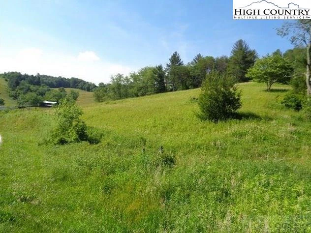 Image number 12 for the current listing
