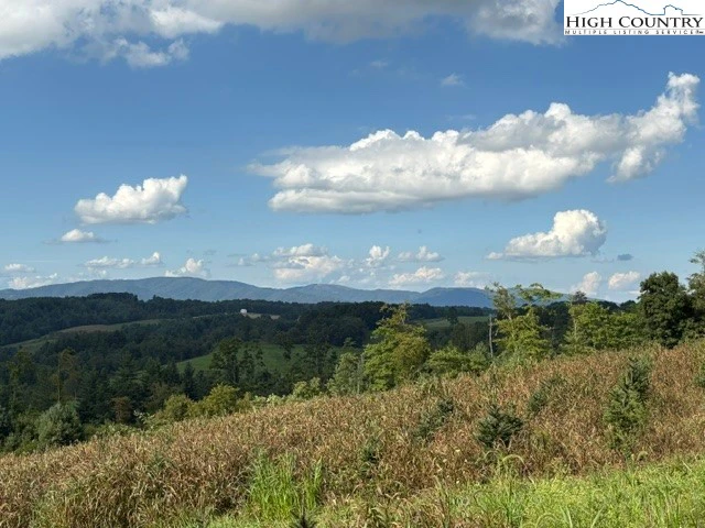 Image number 18 for the current listing