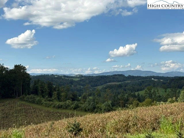 Image number 17 for the current listing