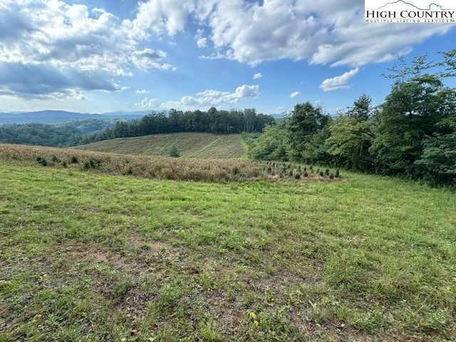 Image number 15 for the current listing