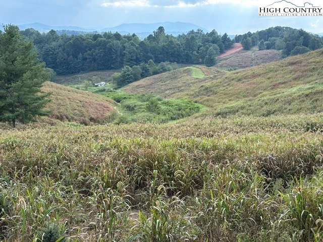 Image number 11 for the current listing