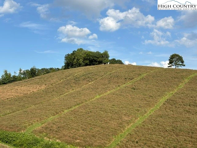 Image number 5 for the current listing