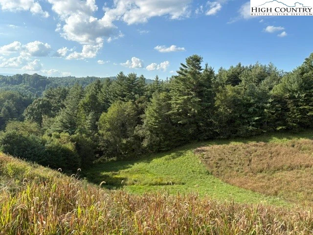 Image number 3 for the current listing