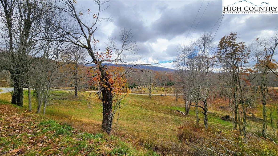 Image number 1 for the current listing